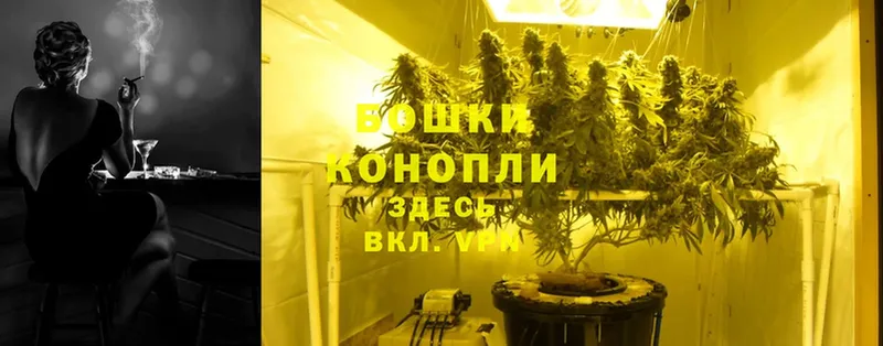 Конопля SATIVA & INDICA  купить   дарк нет Telegram  Бабушкин 